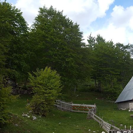 Hawkeye Villa Žabljak Dış mekan fotoğraf