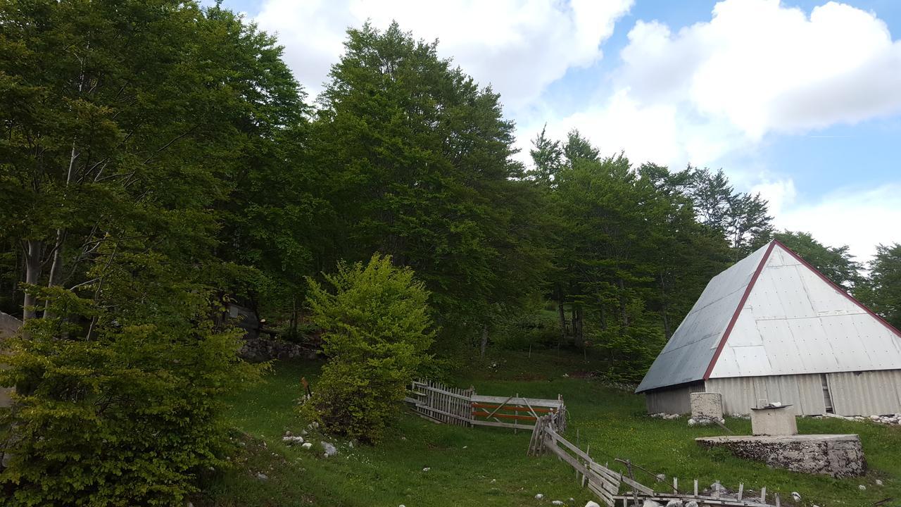 Hawkeye Villa Žabljak Dış mekan fotoğraf